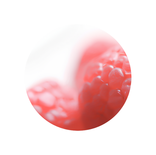 Raspberry Ketone (powder)