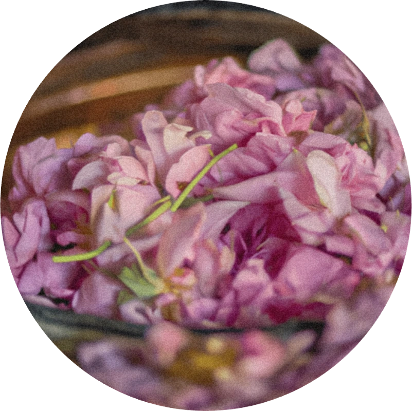Rose Ultimate Extract™