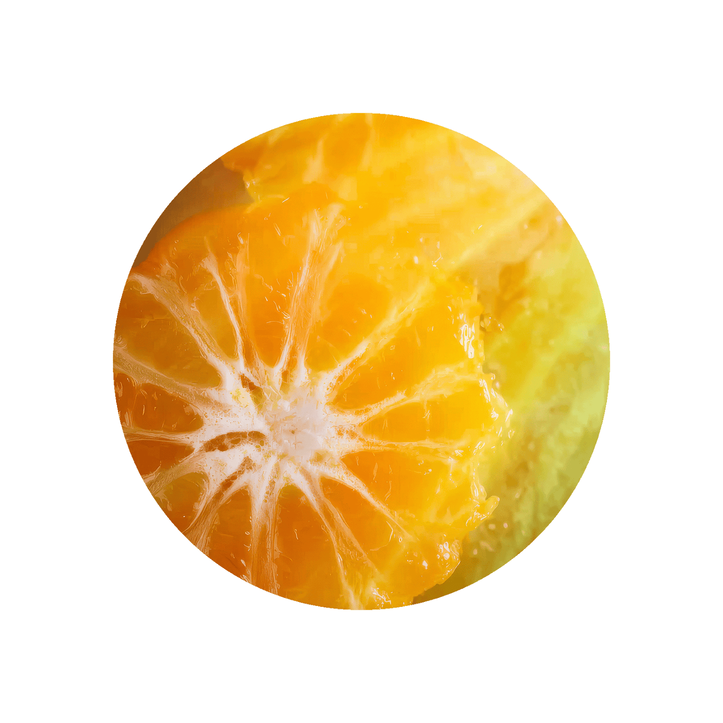 Tamarine Base 41310 G