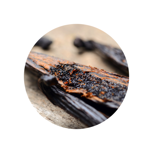 Vanilla Tahitensis SFE