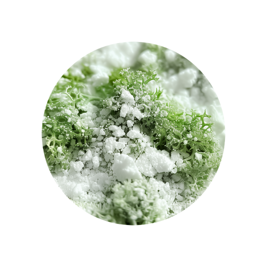 Oceanol (powder)