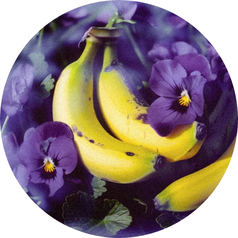 Violiff