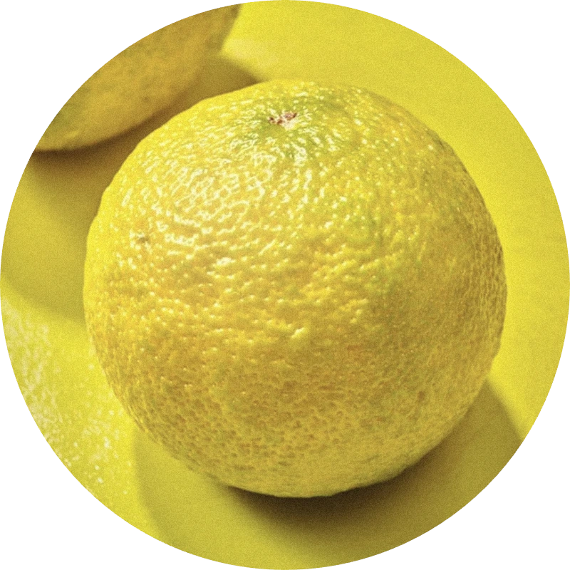 Yuzu Distilled